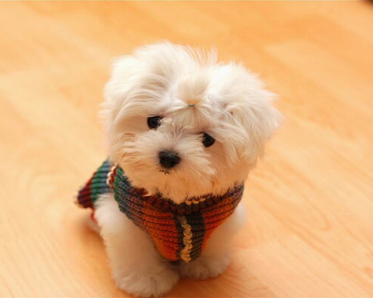 Игрушечный щенок