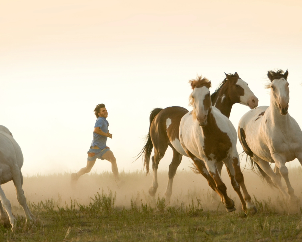 Пробежка с табуном