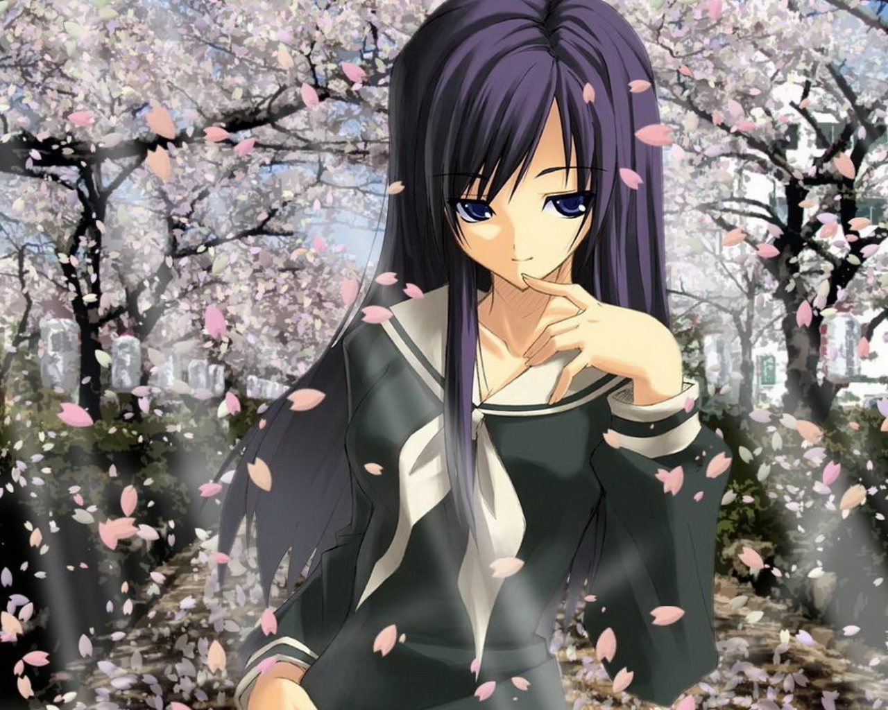 В цвете сакуры