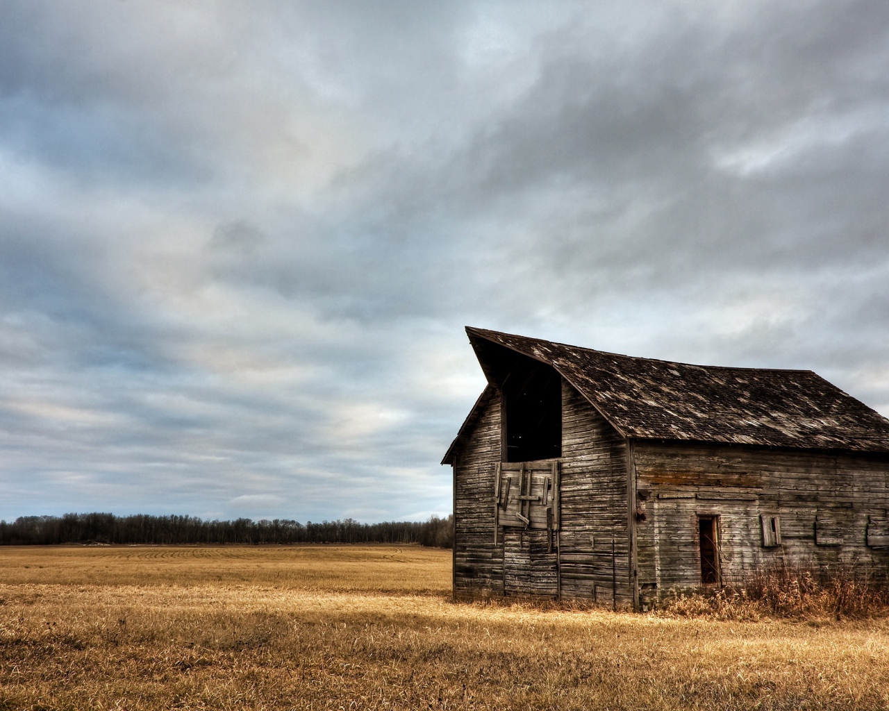 Сарай в поле