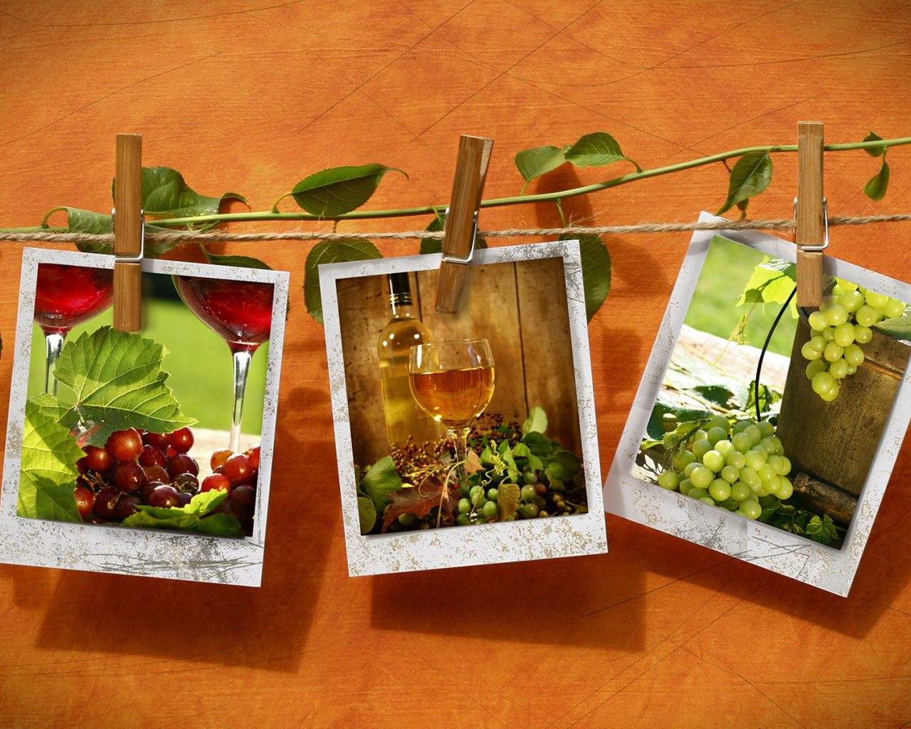 Фотографии