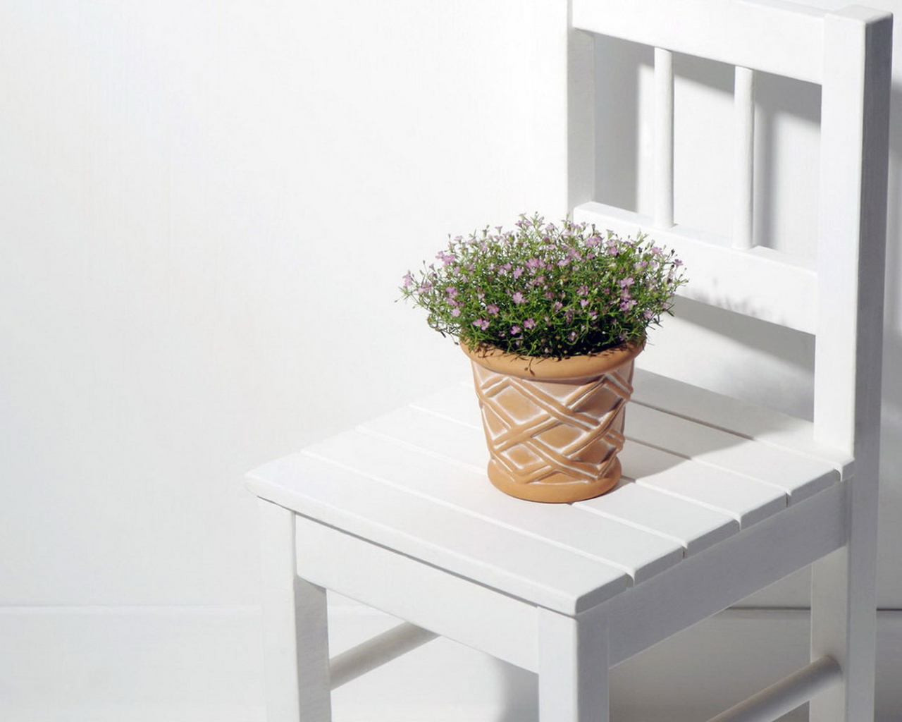 Горшок с цветком на стуле