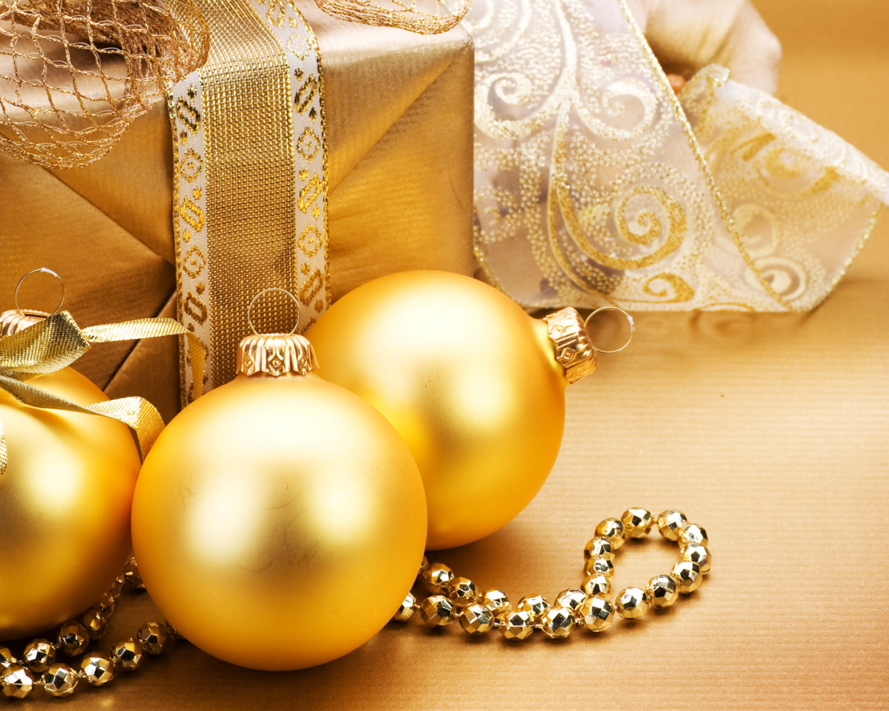 Празднование Нового Года 2011