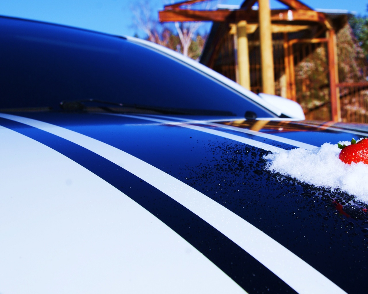 Клубника на капоте