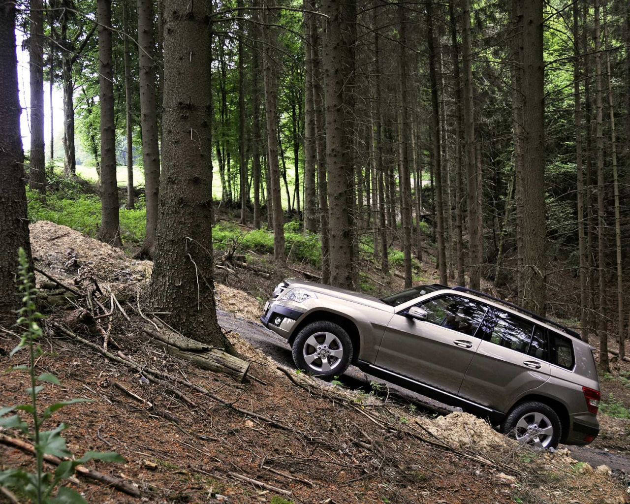 Mercedes Benz GLK прогулка по лесу