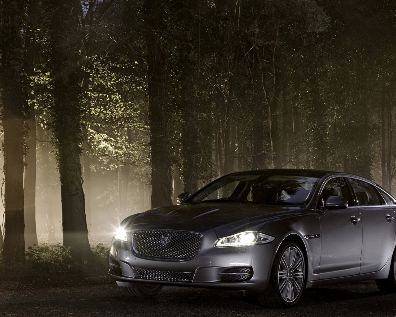 Jaguar XJ в лесу