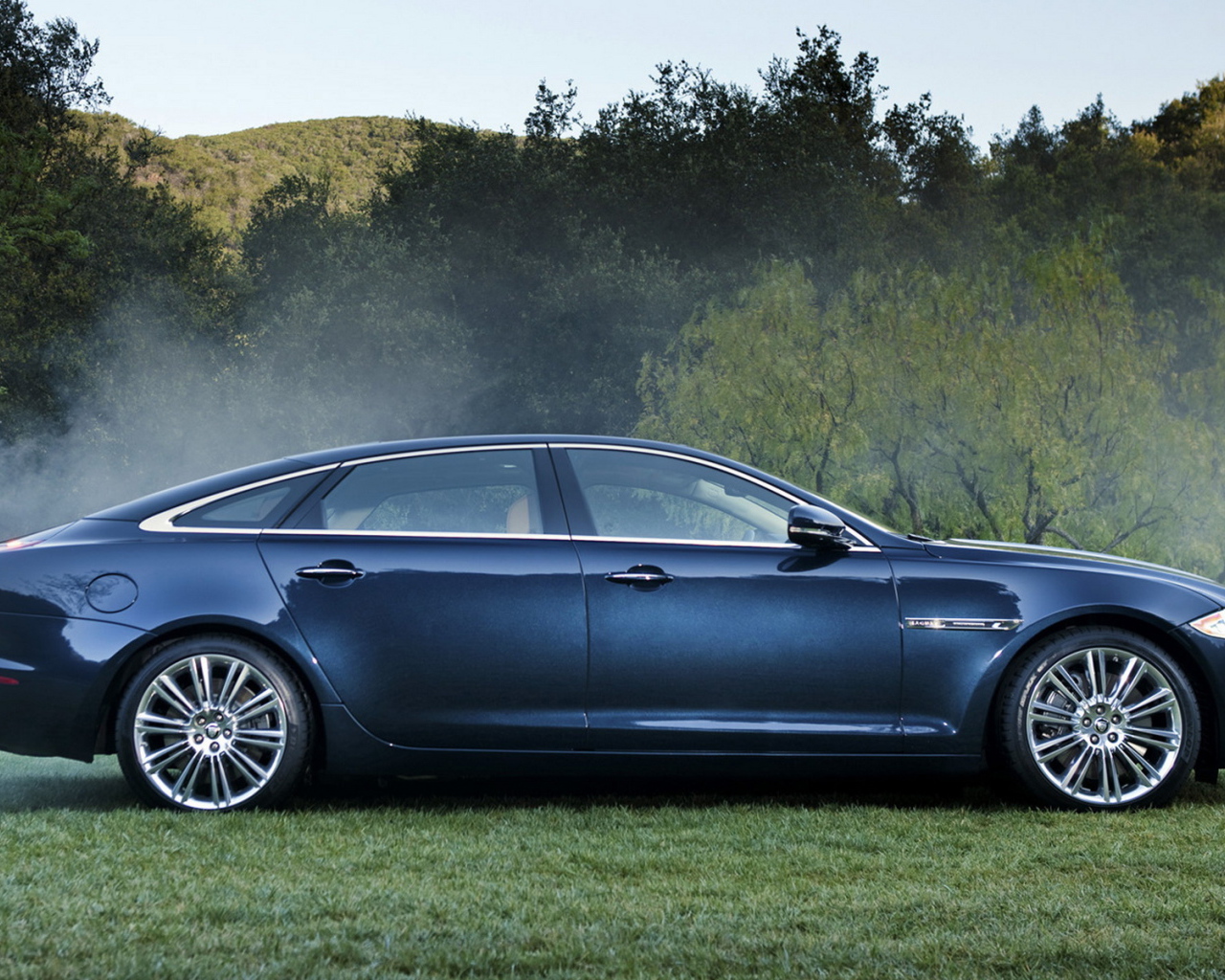 Ягуар XJ в лесу