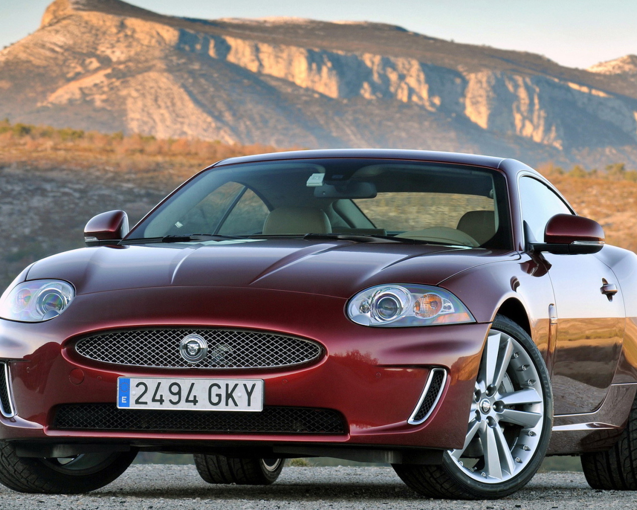Jaguar XK Coupe