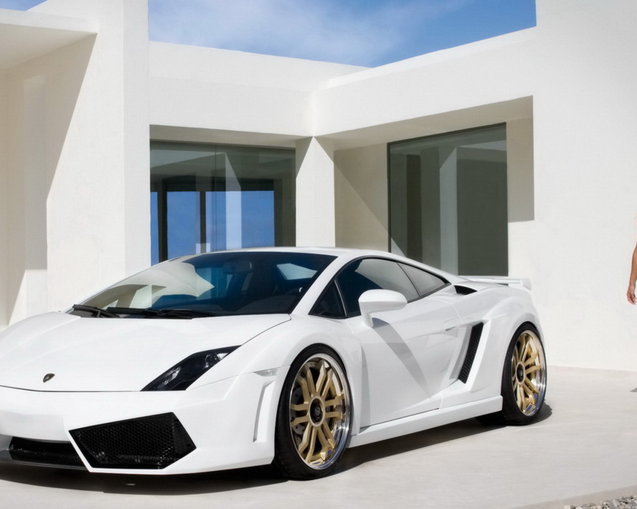 IMSA Lamborghini Gallardo LP-560