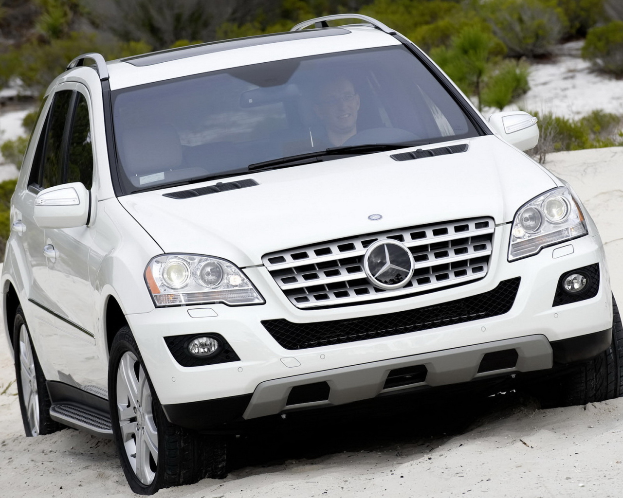 Mercedes-Benz ML320 Bluetec