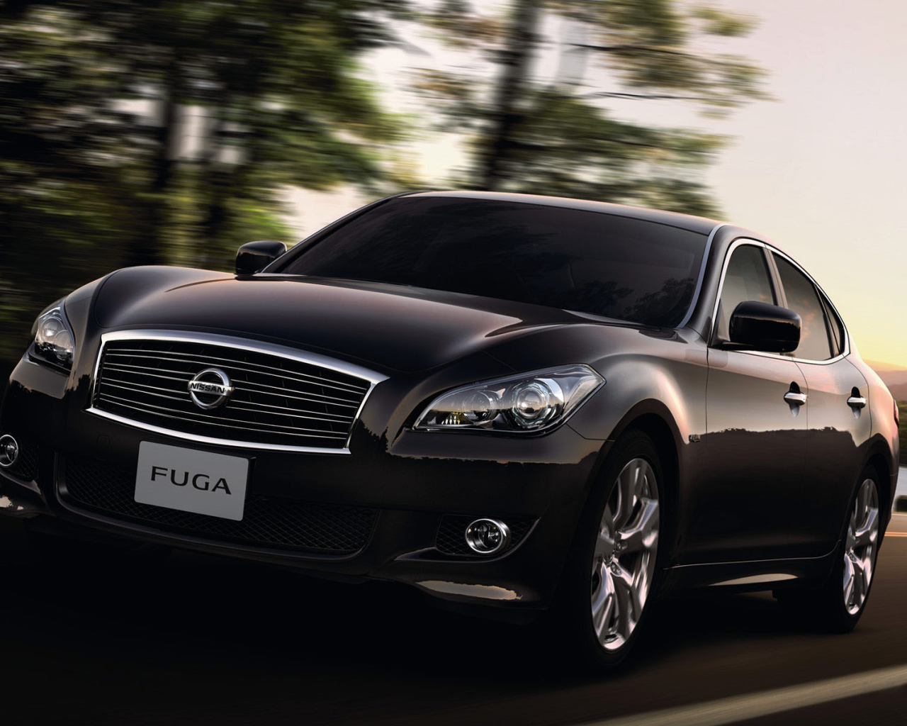 Nissan Fuga на прогулке