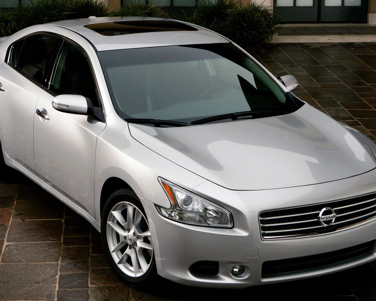 Ниссан Максима