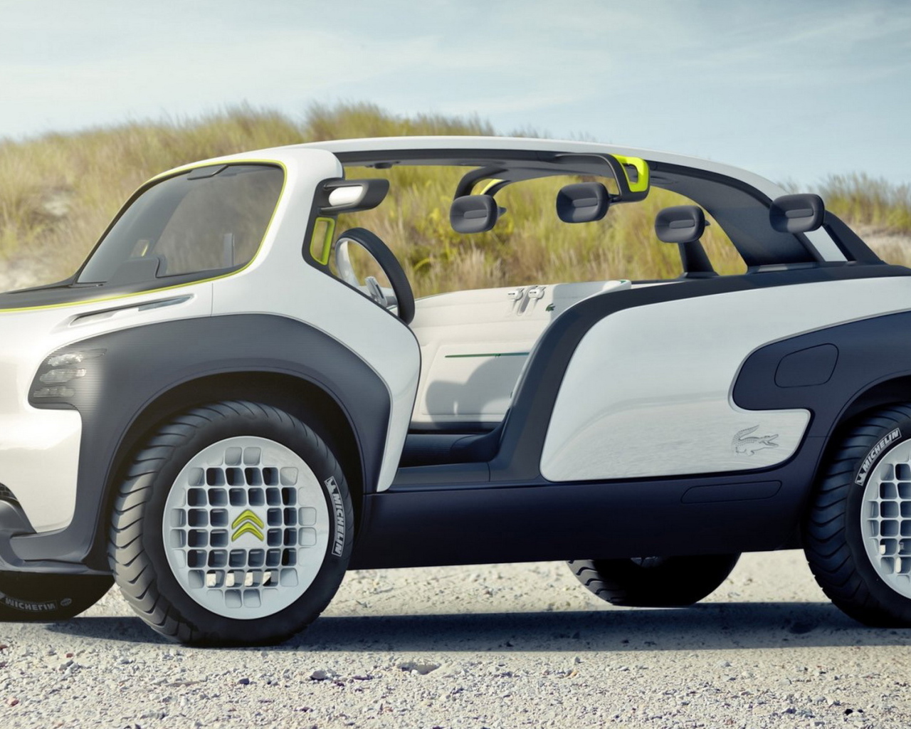 2010 Ситроен Концепт