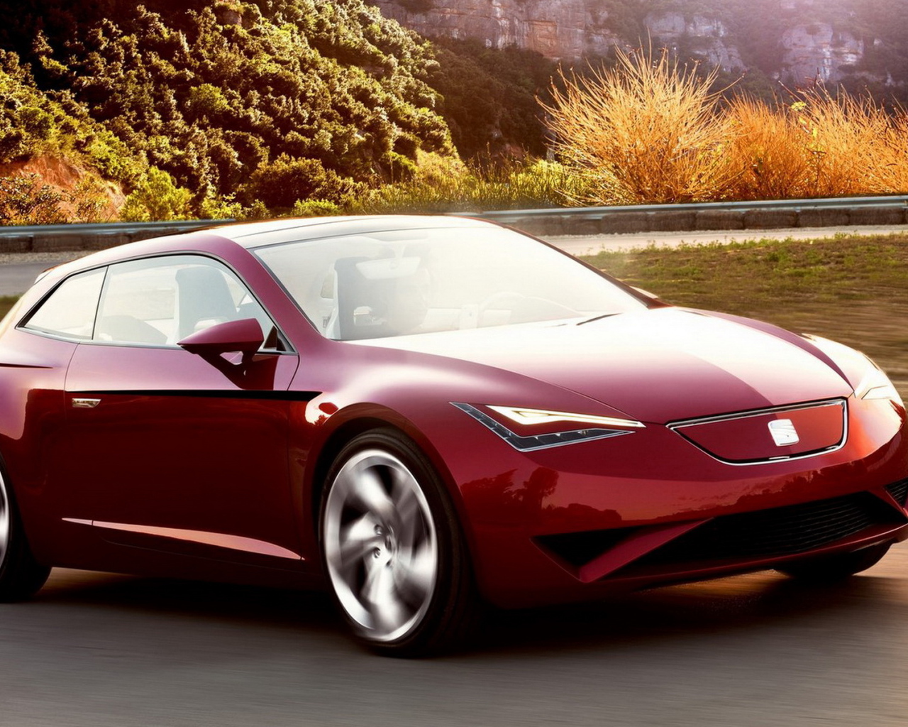 Сиат Париж Концепт