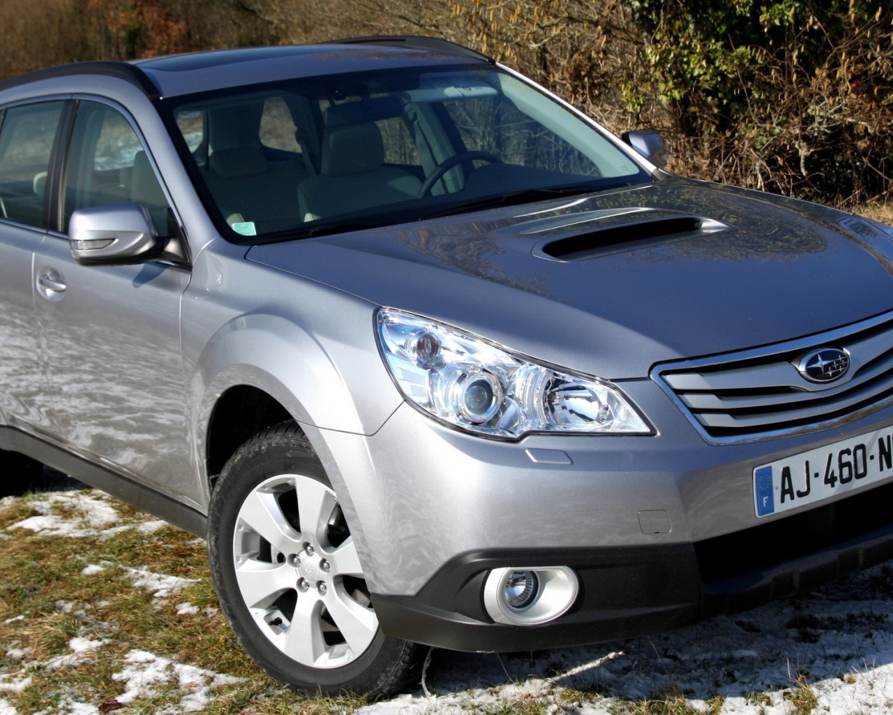 Прогулки на Cубару Аутбэк