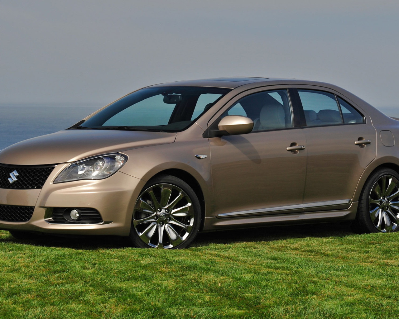 Сузуки Кизаши на газоне среди зелени