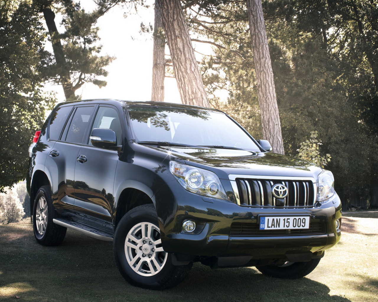 Тойота Лэнд Крузер в лесу