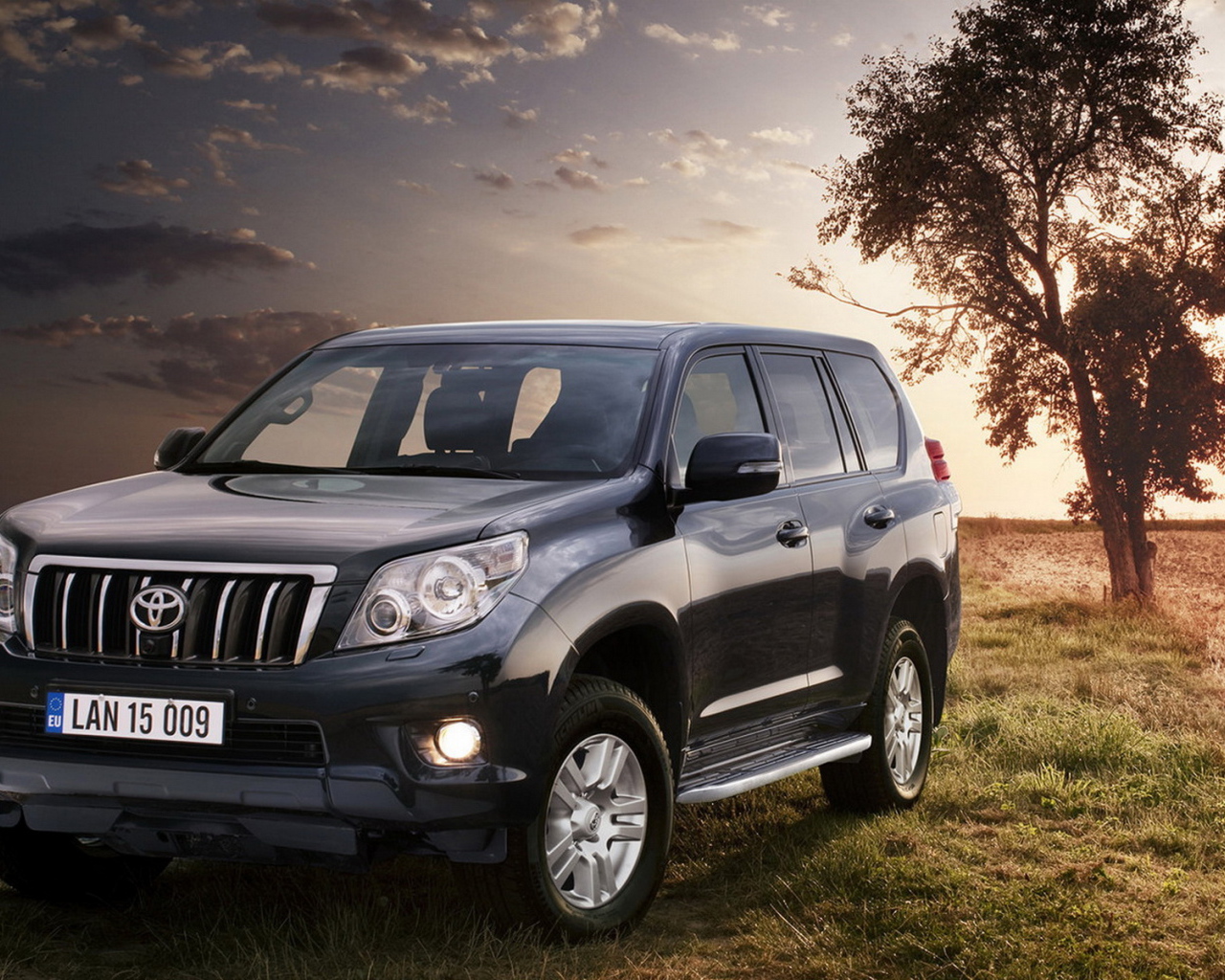 Toyota Land Cruiser возле дерева