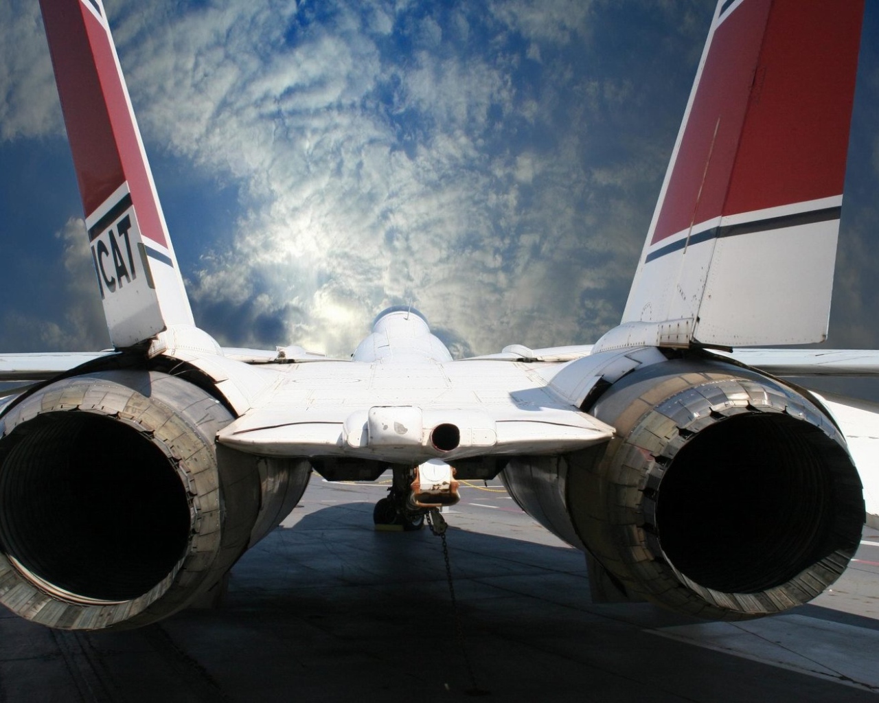 Реактивная, птичка