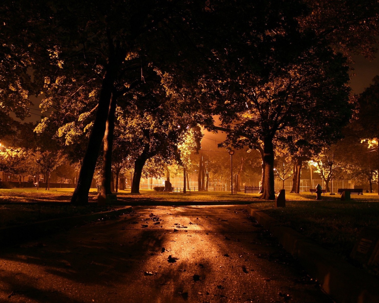Ночь в городском парке