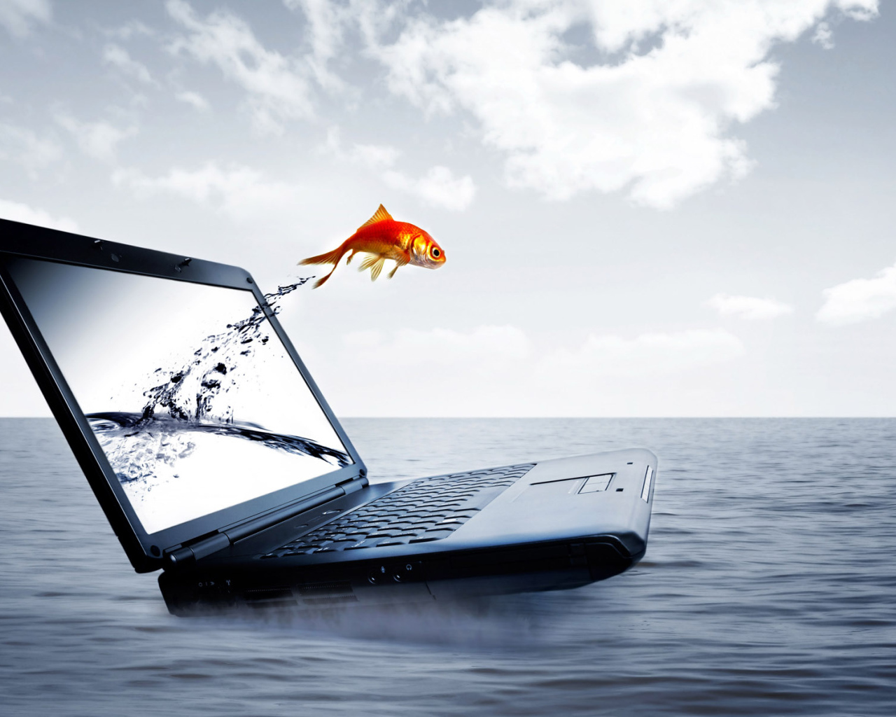Ноутбук и рыбка
