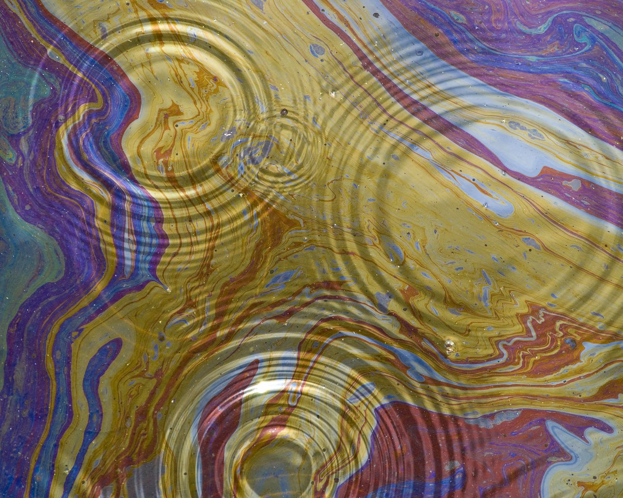 Нефтяное пятно в Мексиканском заливе