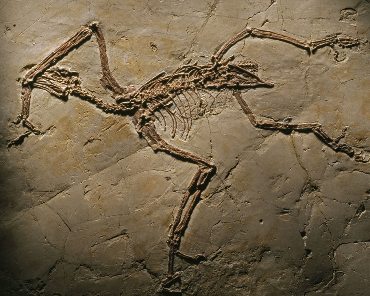 Археология