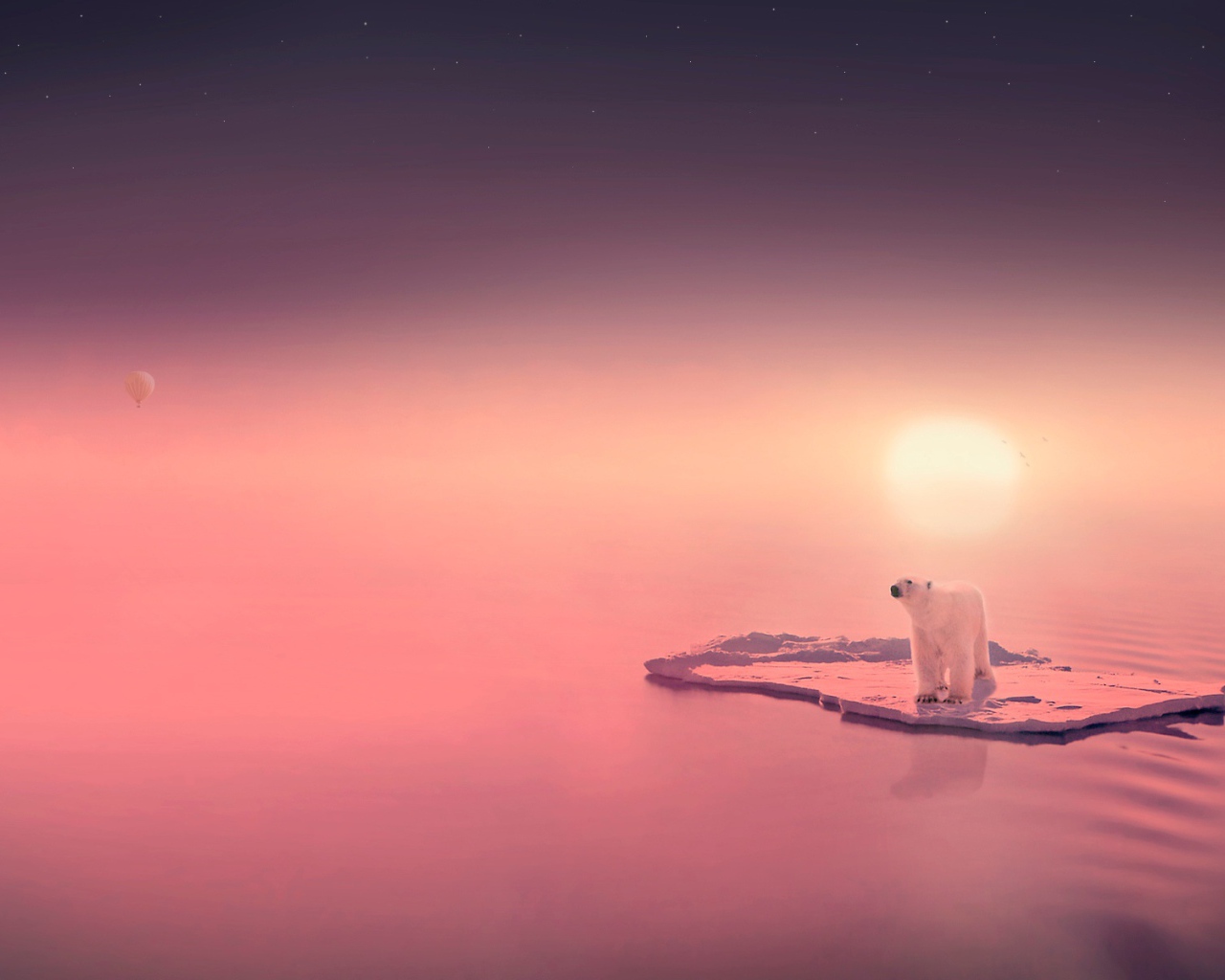 Медведь путешественник