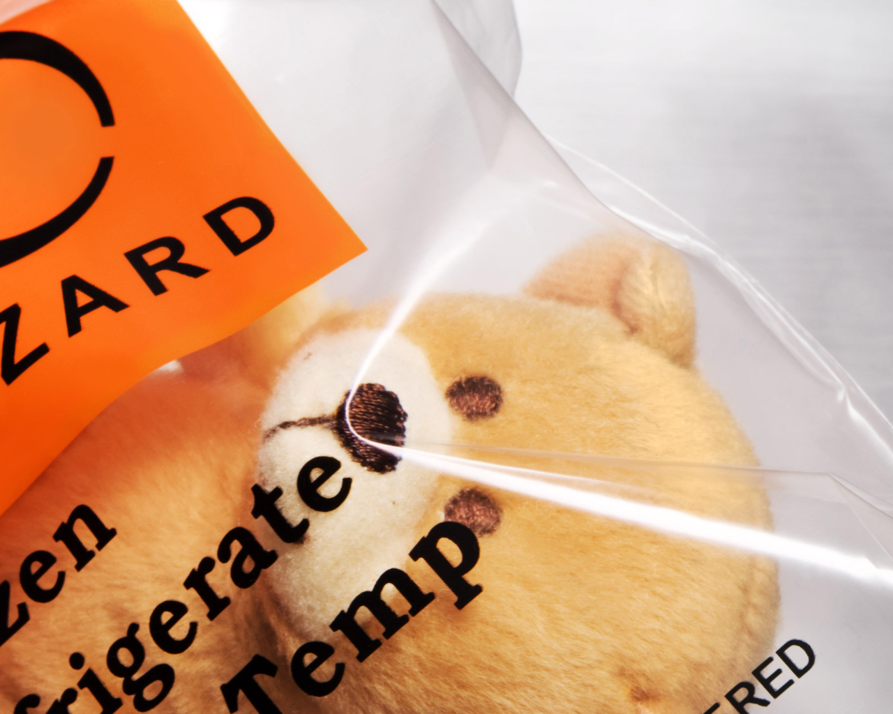 Опасный плюшевый мишка