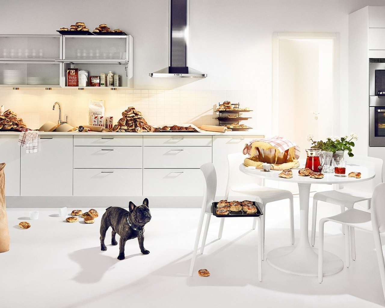 Собачье счастье