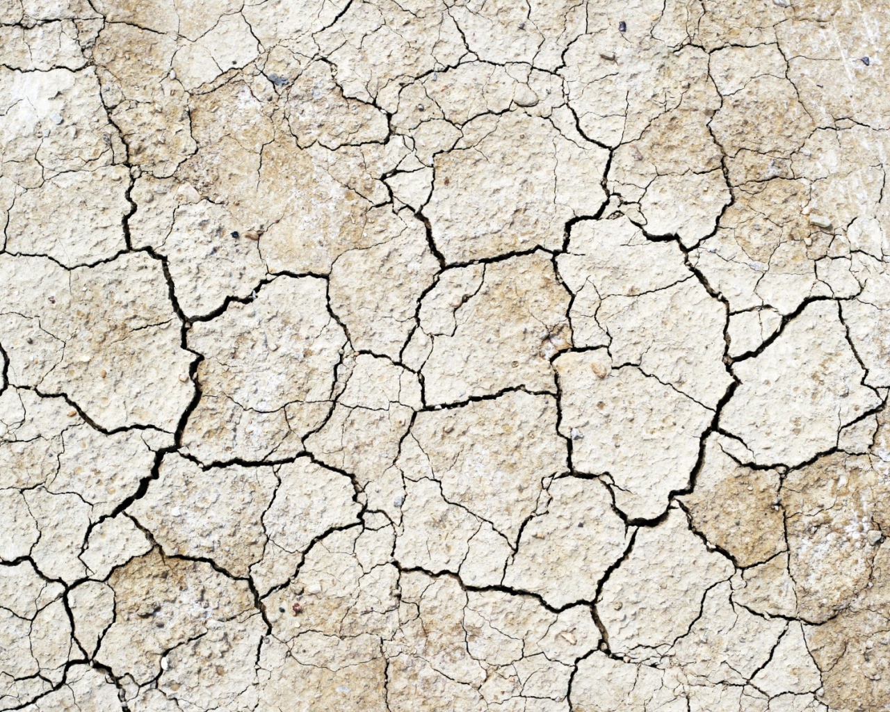 Земля выжженная солнцем