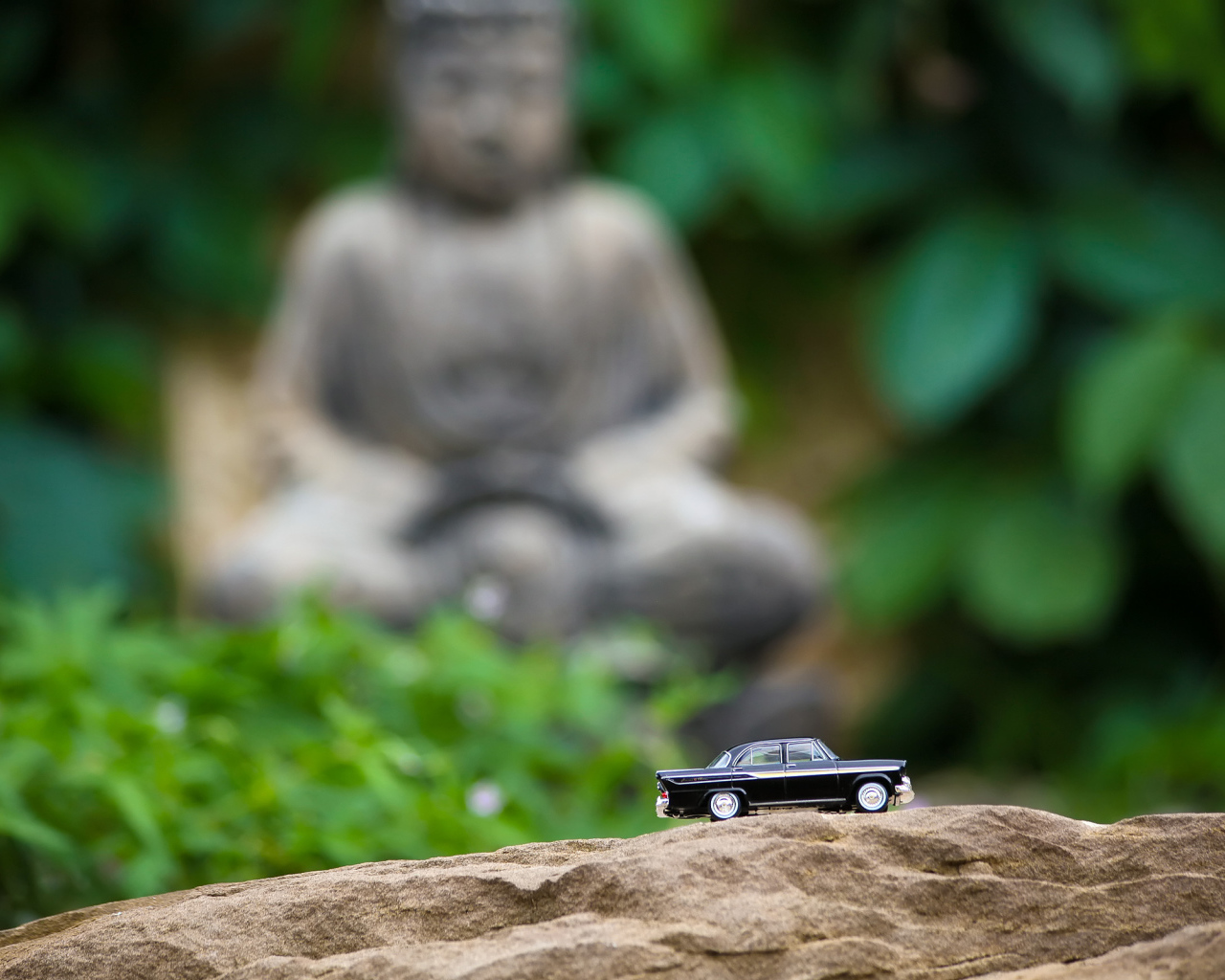 Дорога к Будде