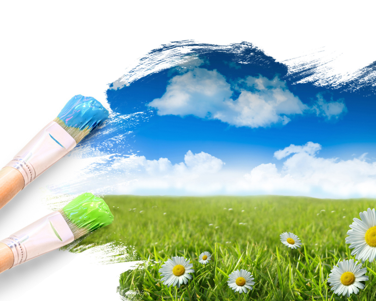 Полевые цветы