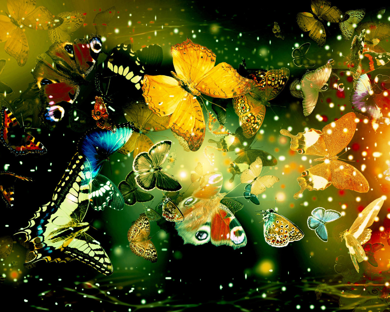 Яркие бабочки