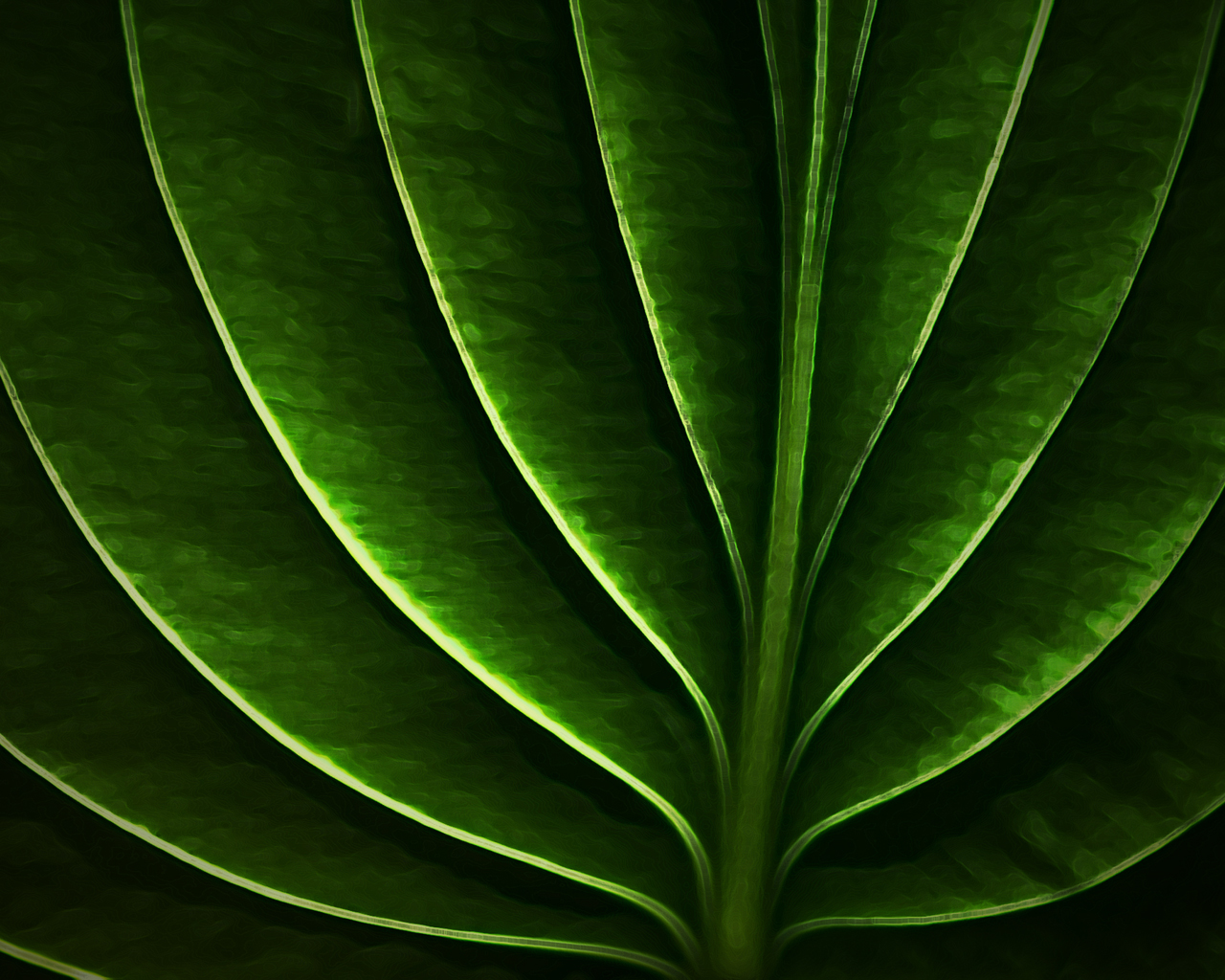 Неоновый листик