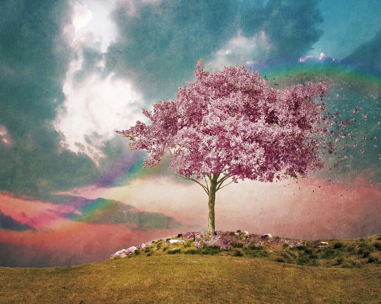 Розовое дерево