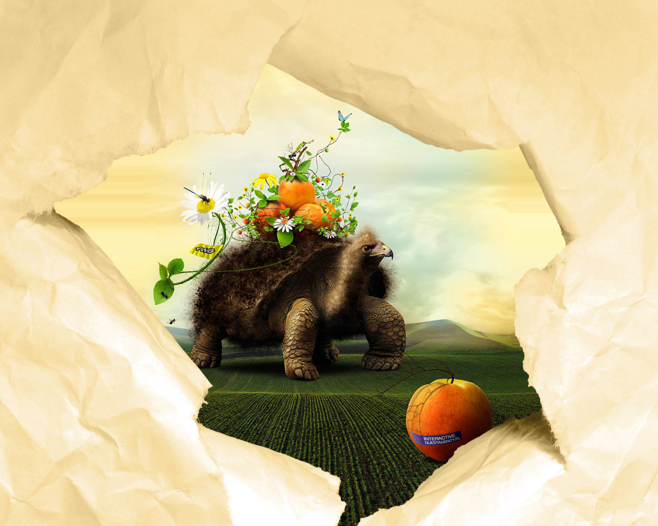 Черепаха и персики