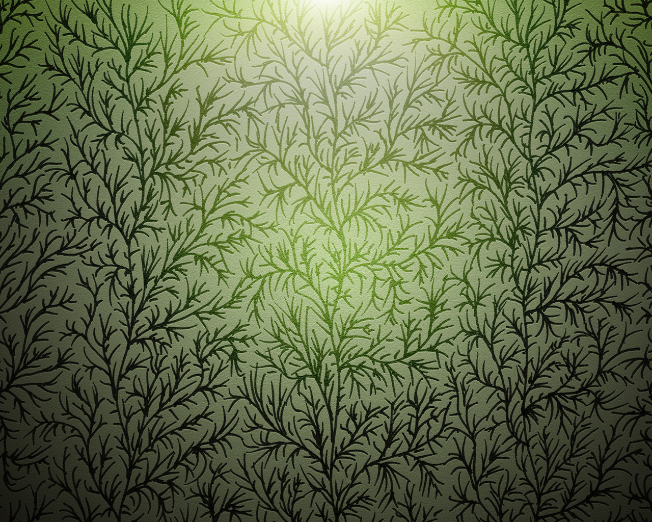 Ветки Лесная текстура