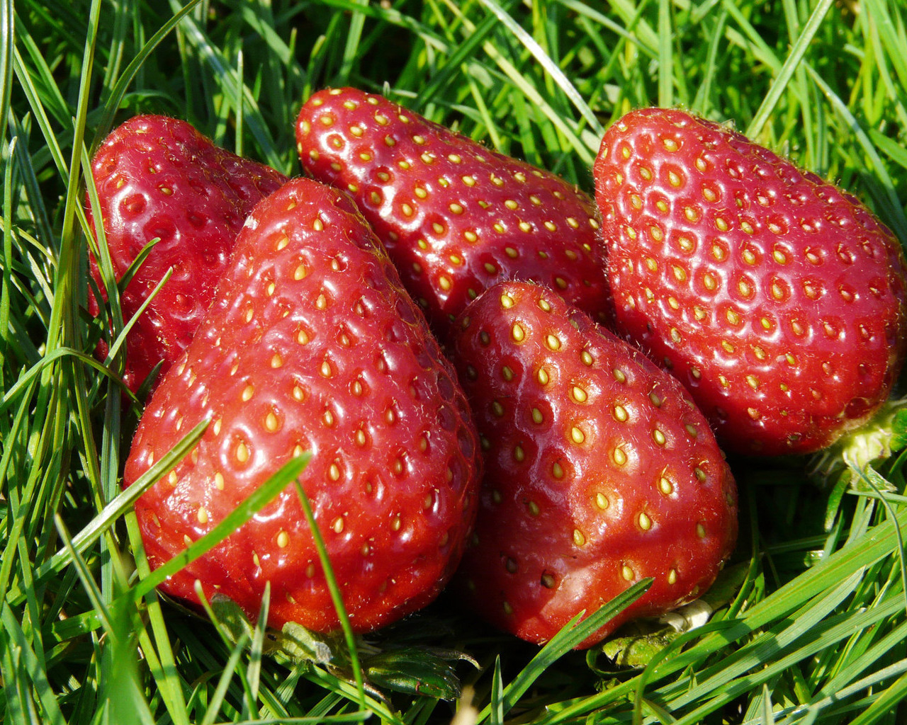 Спелая клубника