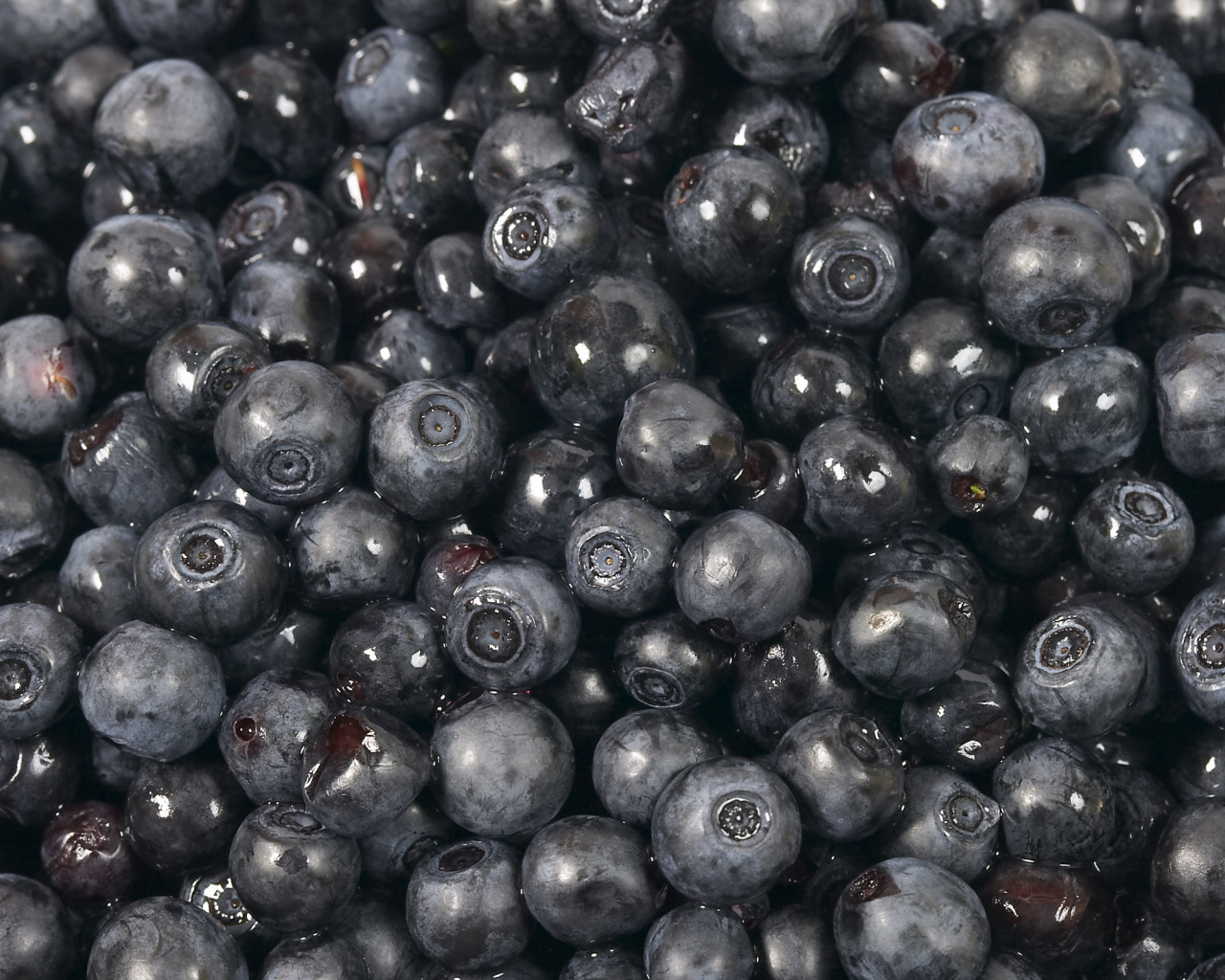 Черника, Лесные ягоды