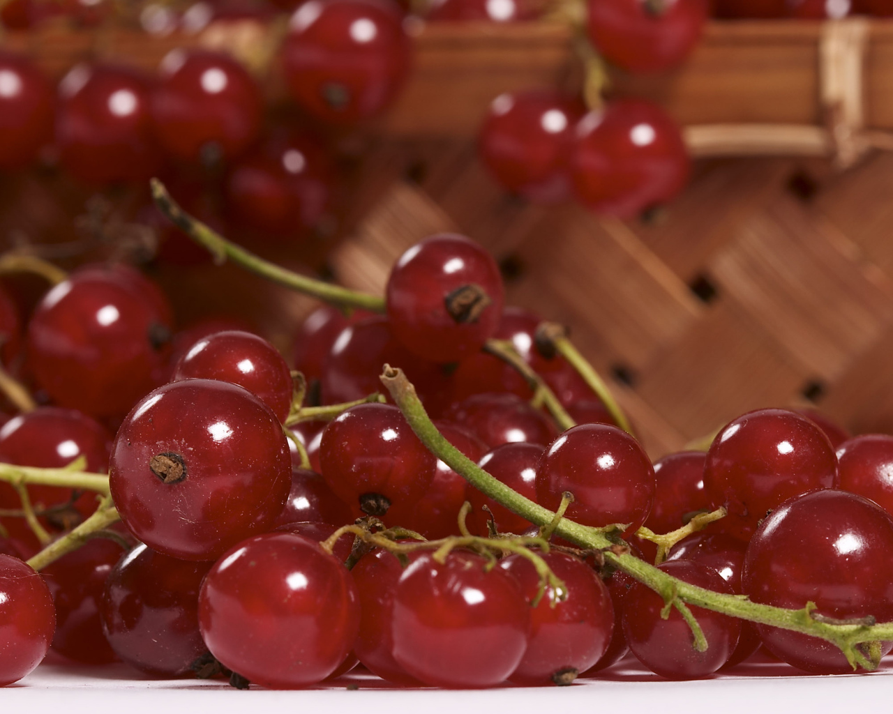 Красная смородина