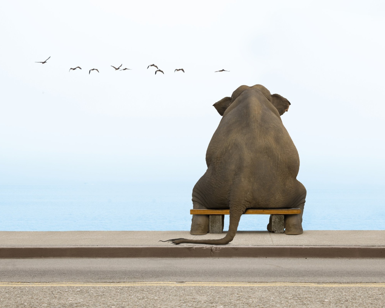Слон на скамеечке
