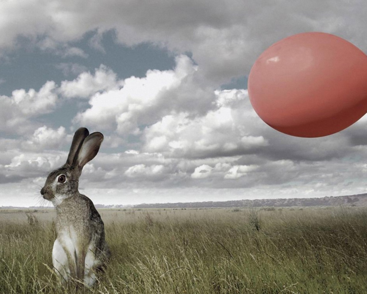 Мгновение до испуга