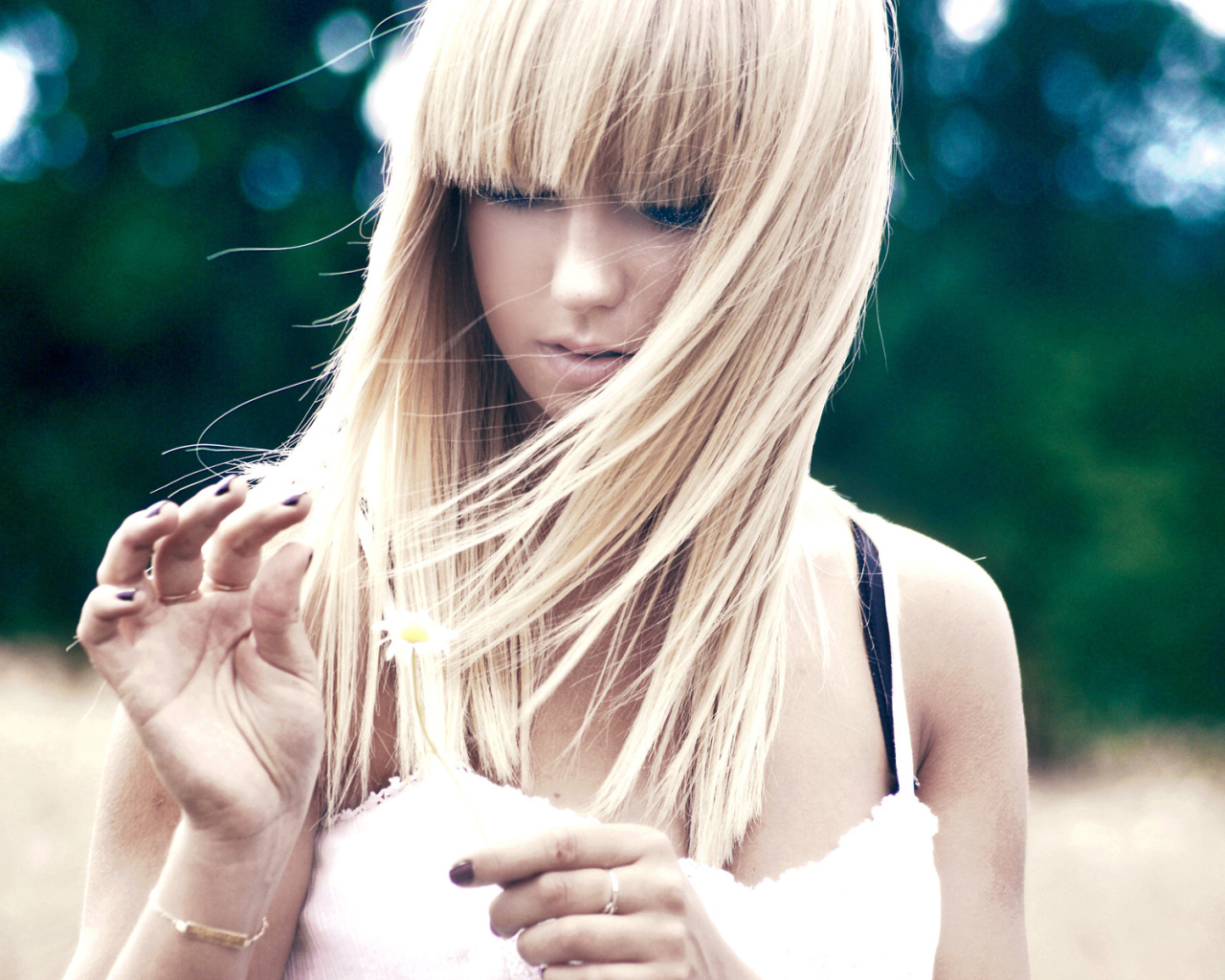 Гадая на ромашке