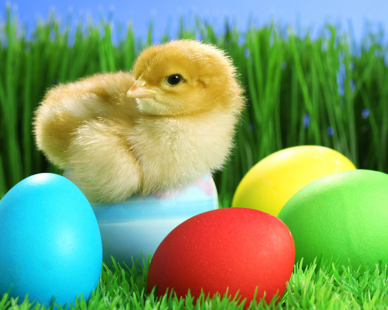 Яйца на Пасху