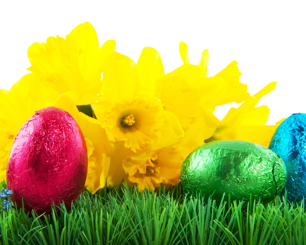 Пасхальные яйца на траве