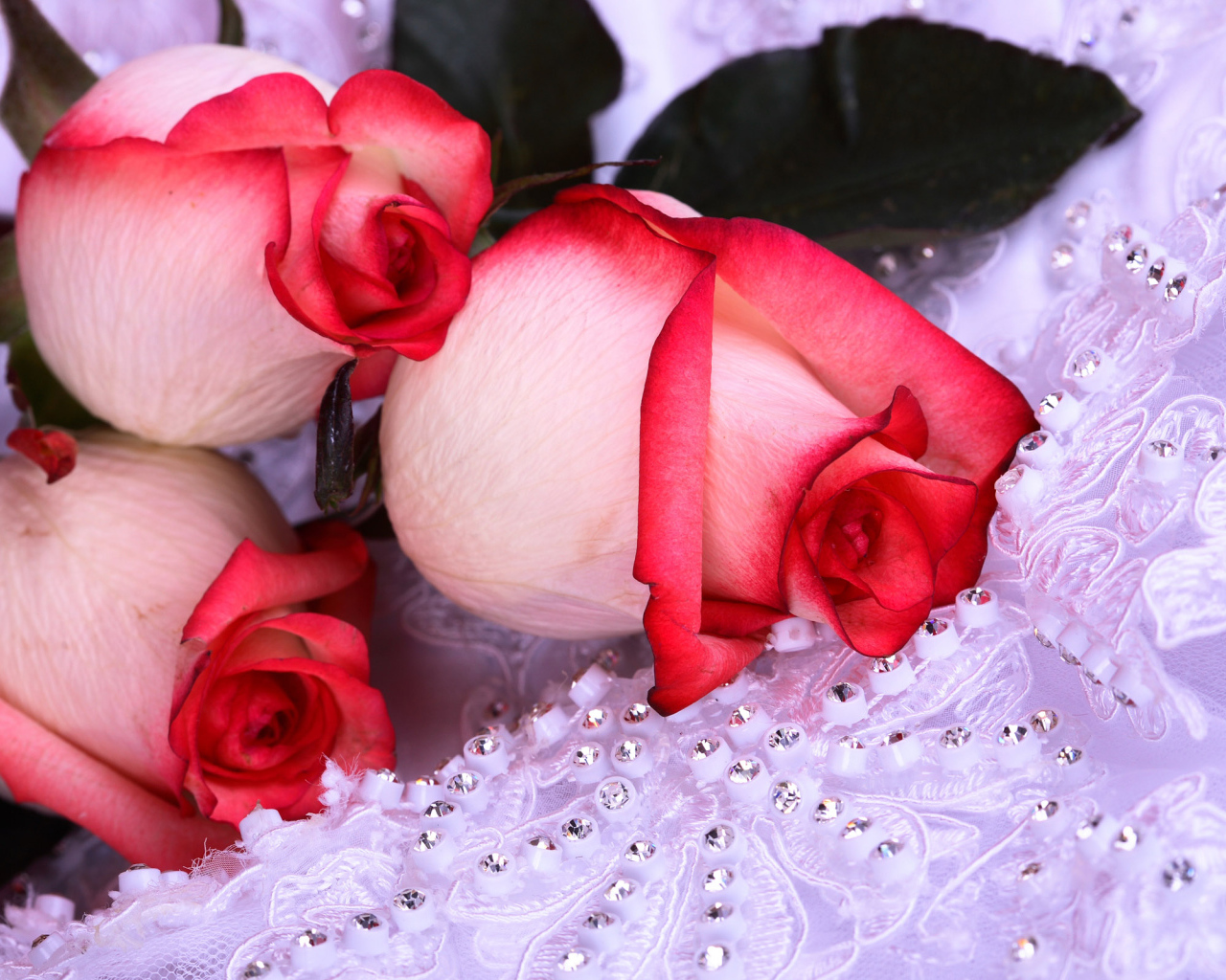 Красивые цветы женщинам