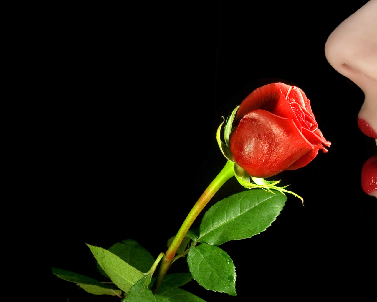 8 Марта Международный женский день