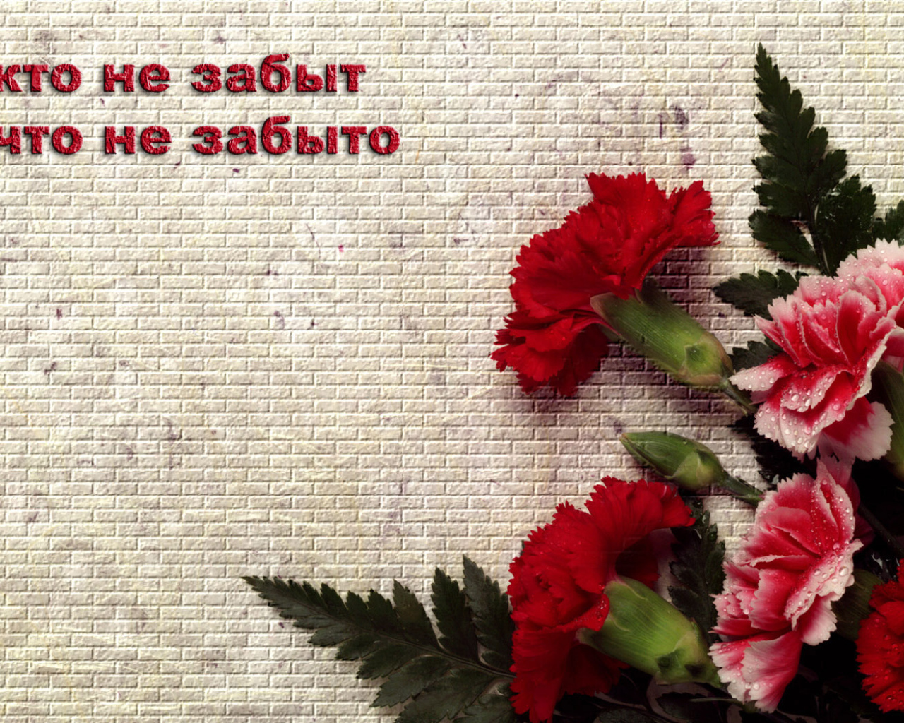 Ветеранам на 9 Мая