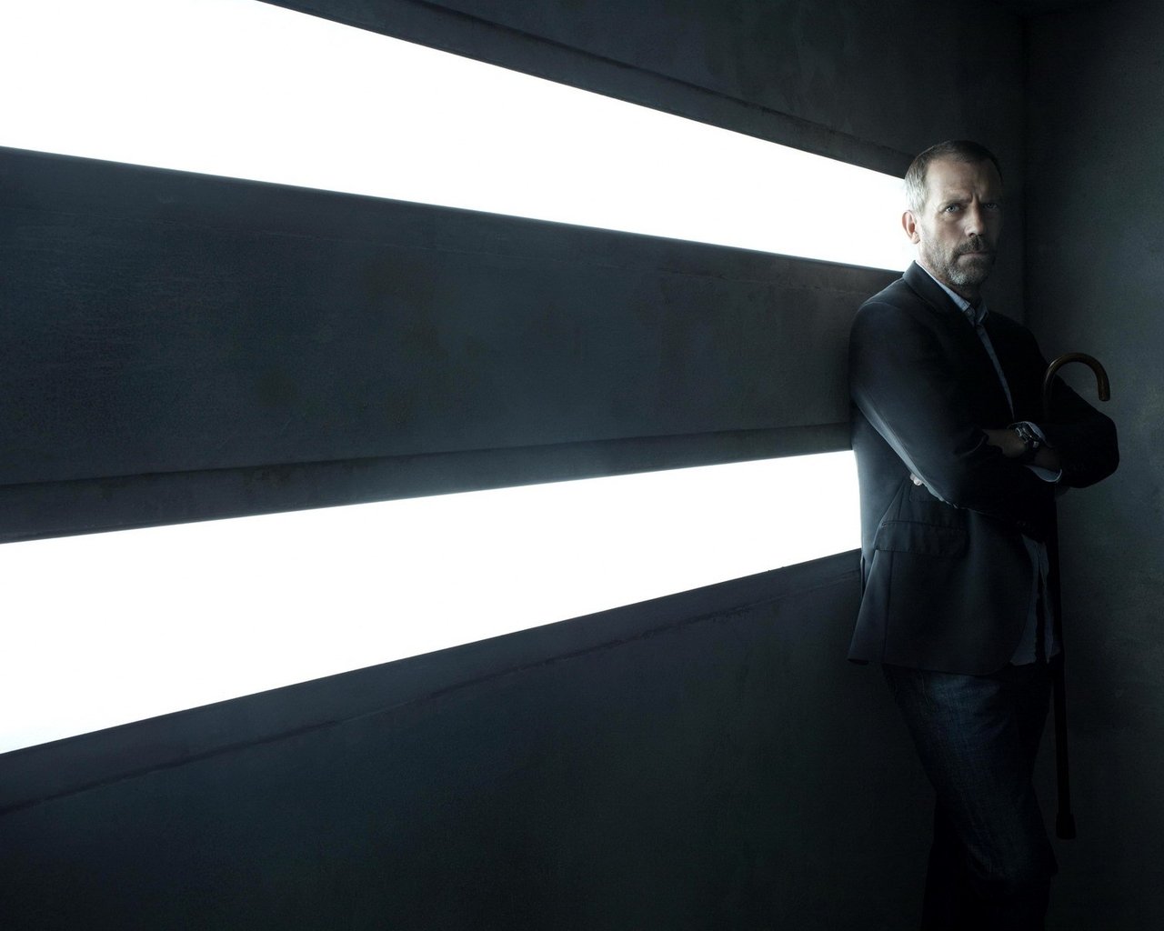 House MD Хью Лори